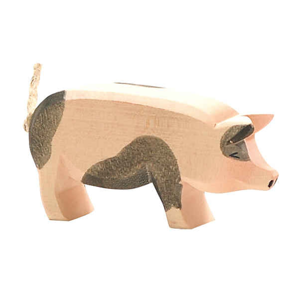 Ostheimer Spotted Pig - Head High