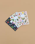 Assorted Set of 3 Curio Notebooks