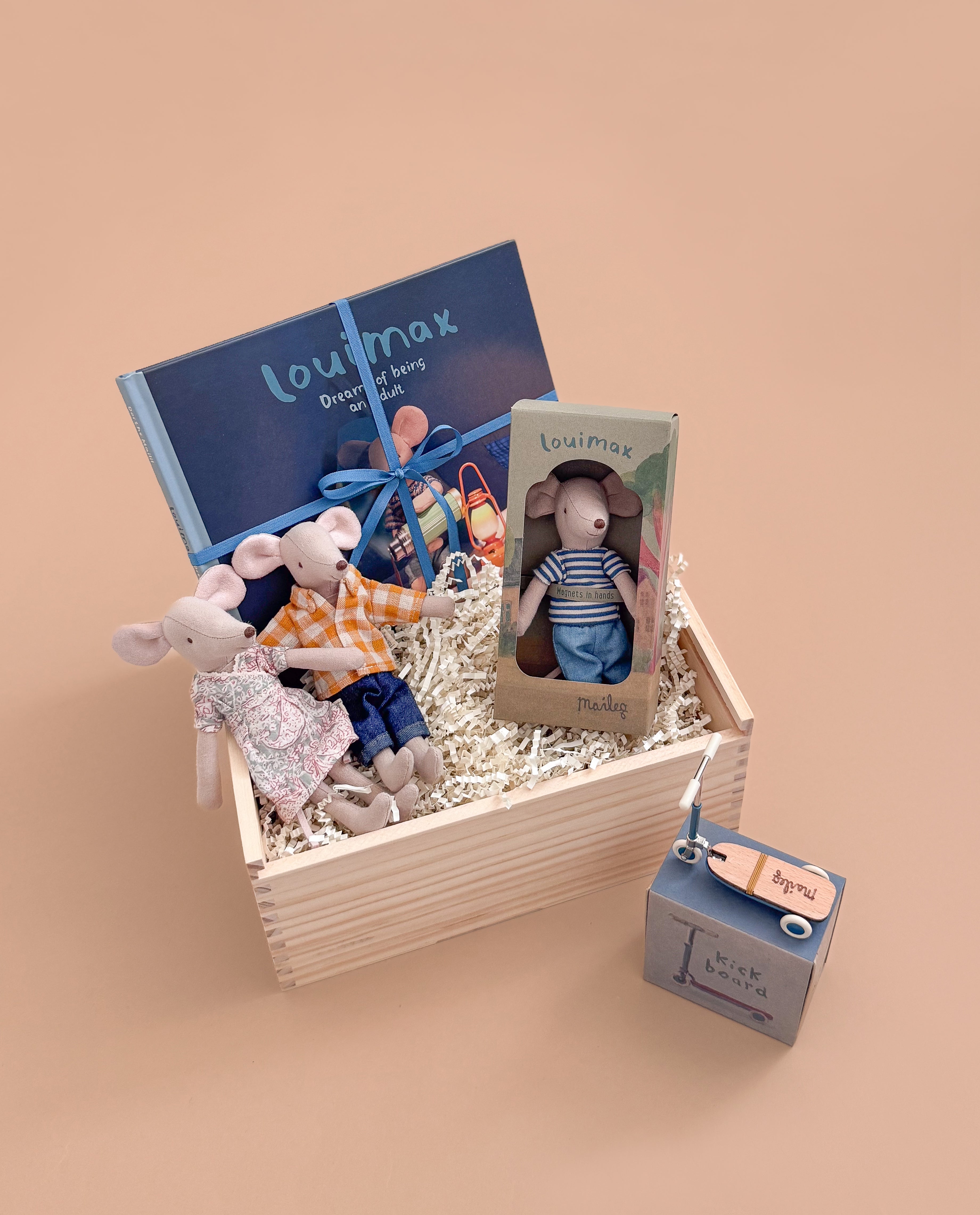 Maileg Gift Box: Family Moments with Louimax