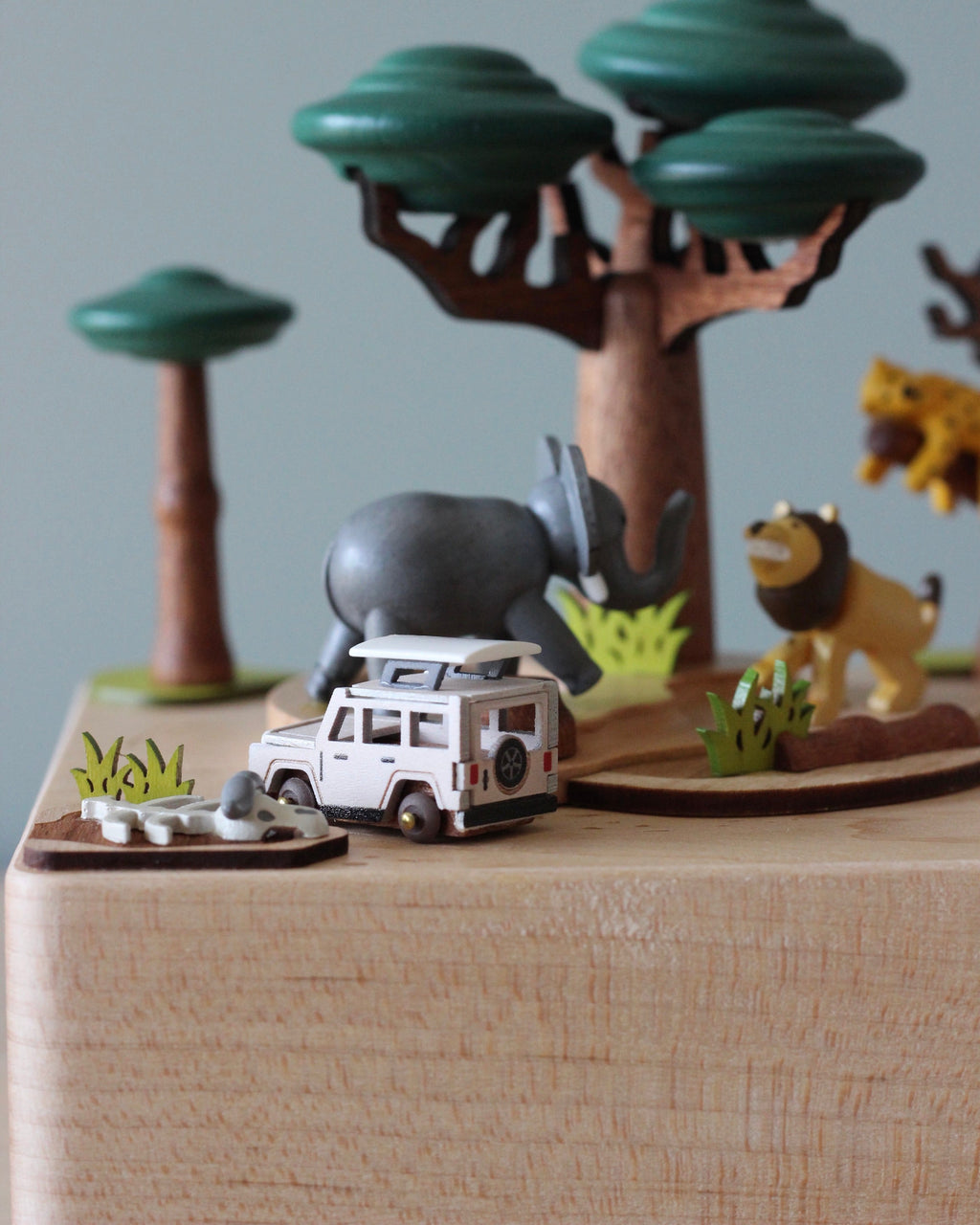 Wooden Safari Music Box