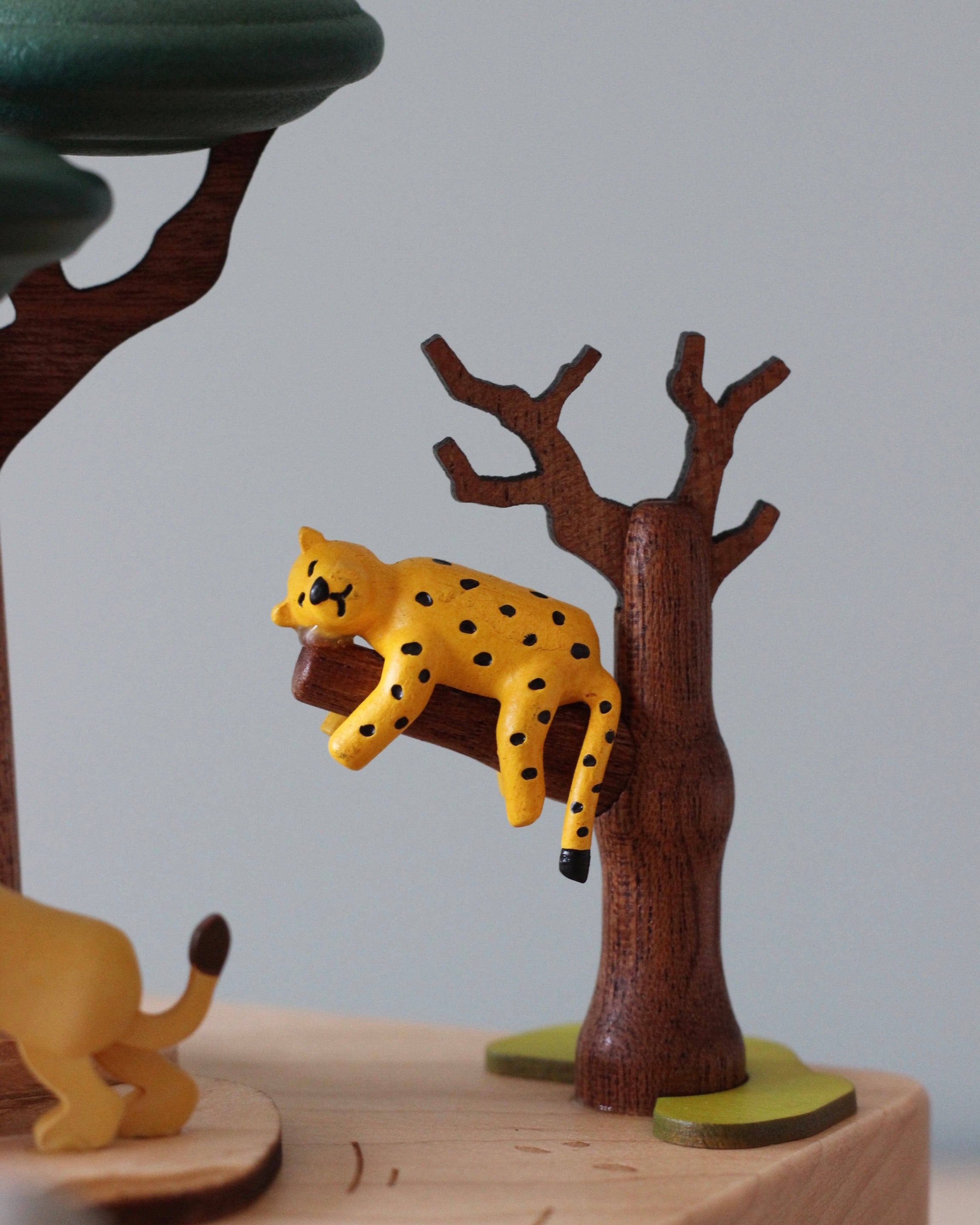 Wooden Safari Music Box