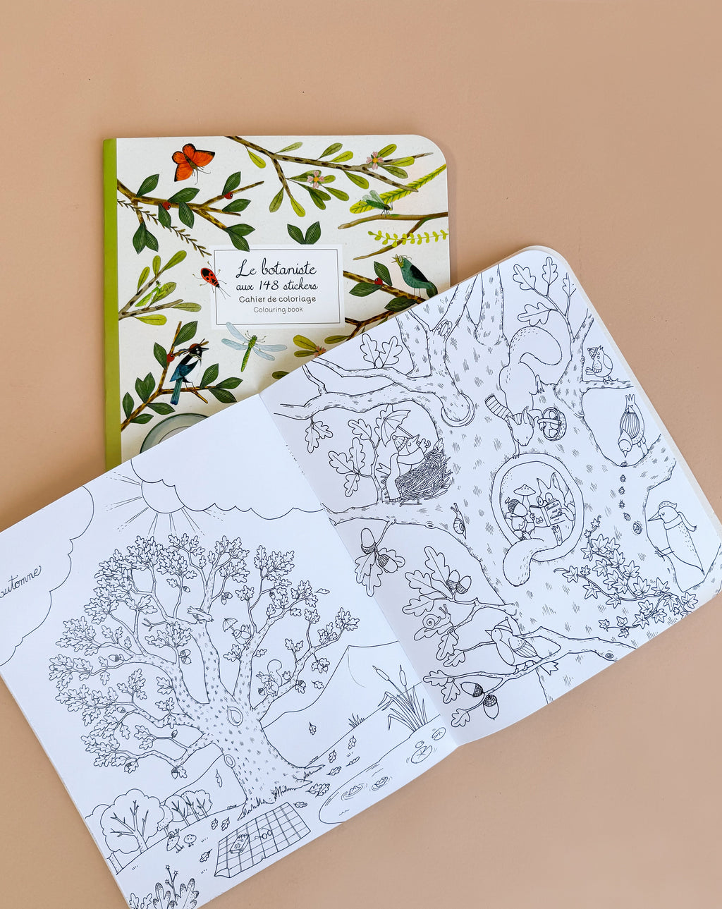 Moulin Roty Botanist Coloring Book with Stockmar Pencil Set
