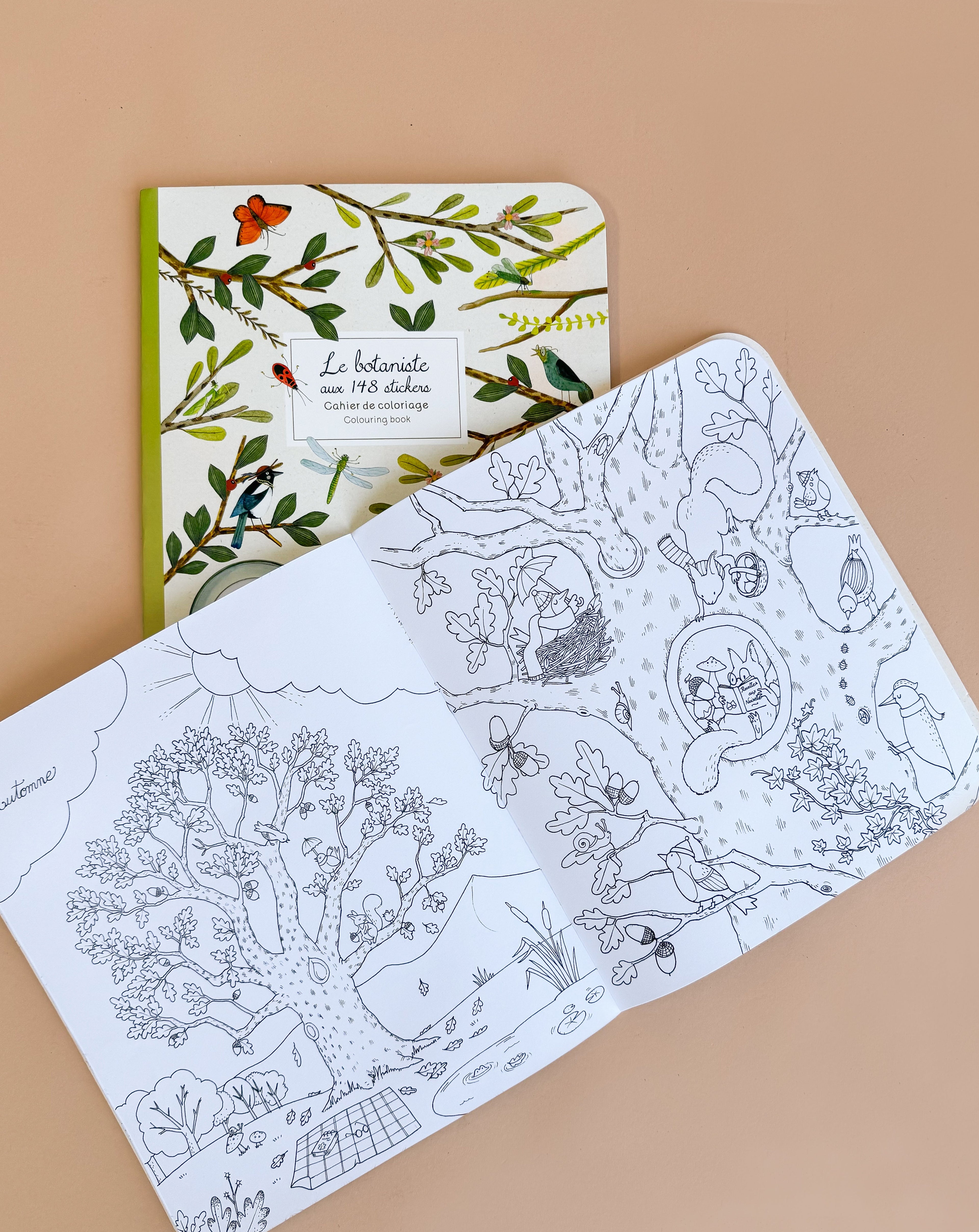 Moulin Roty Botanist Coloring Book with Stockmar Pencil Set