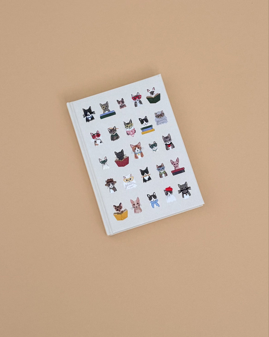 Studious Cats Embroidered Journal