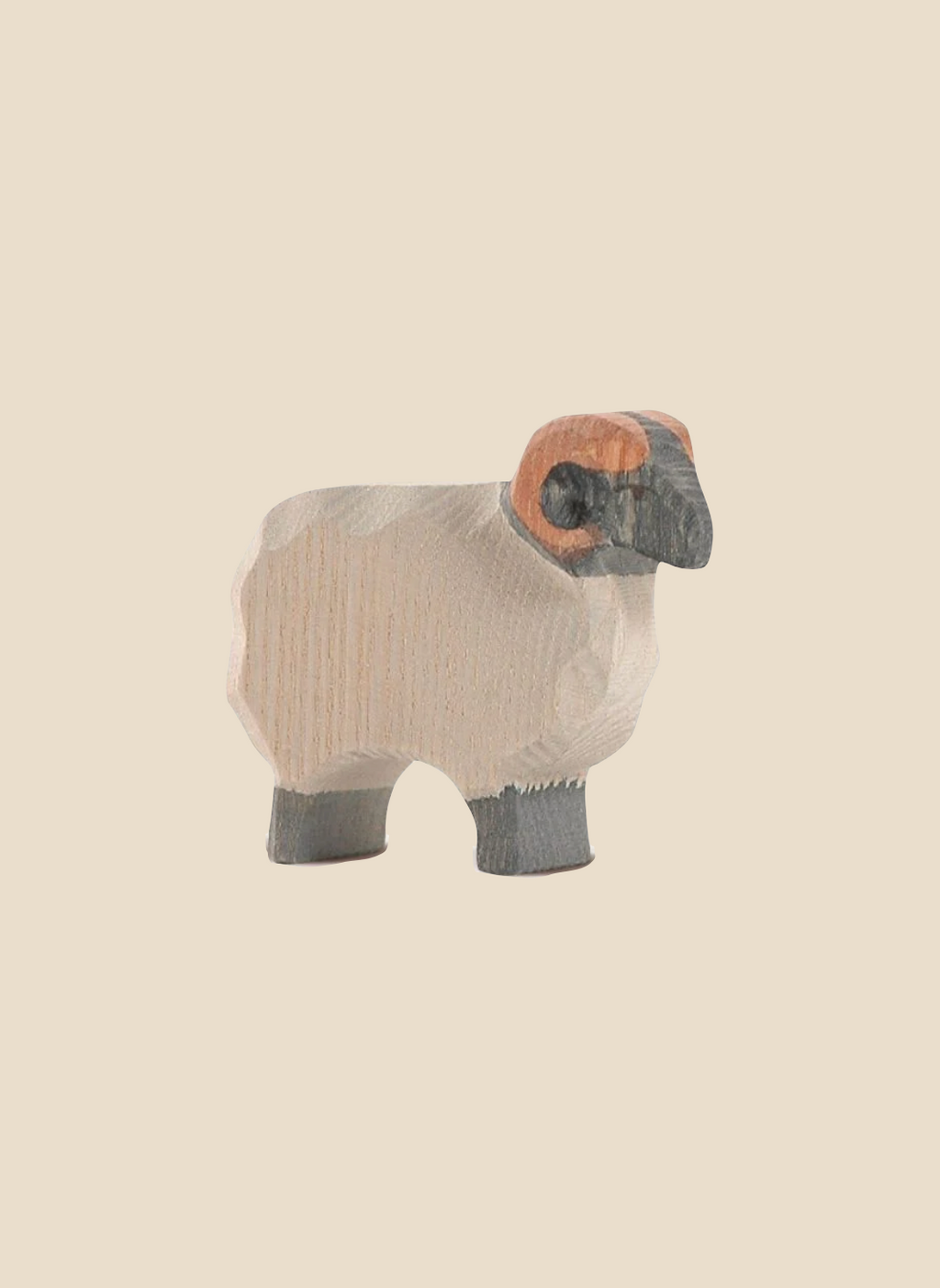 Ostheimer Moorland Ram