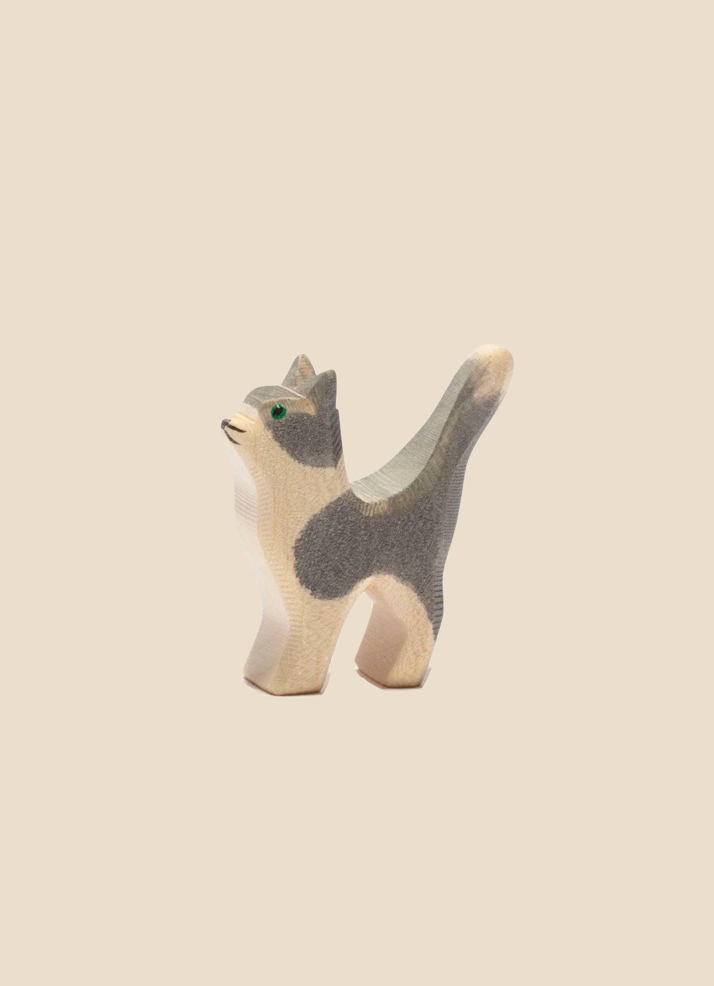 Ostheimer Cat - Gray and White, Head Up