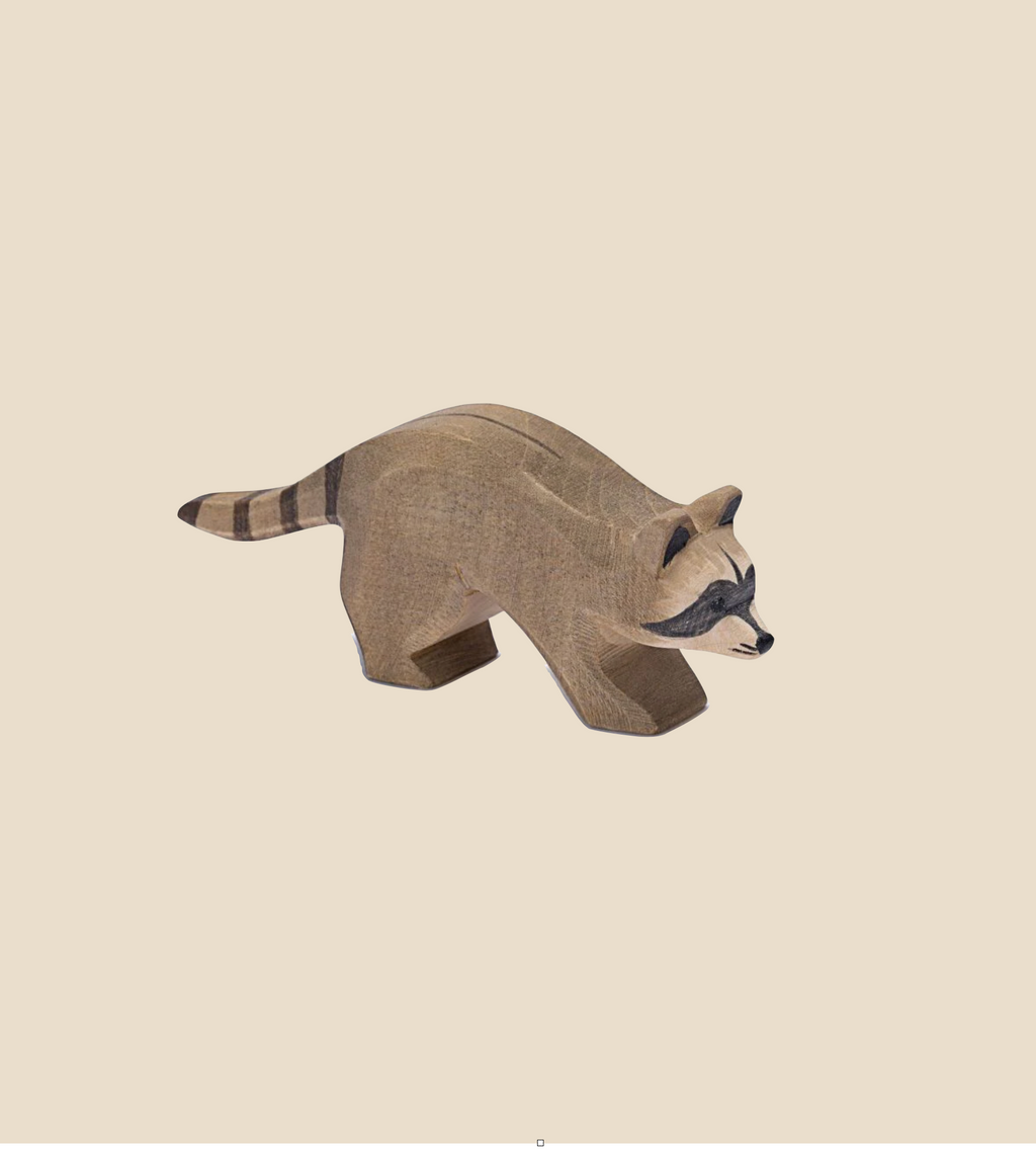 Ostheimer Raccoon Running