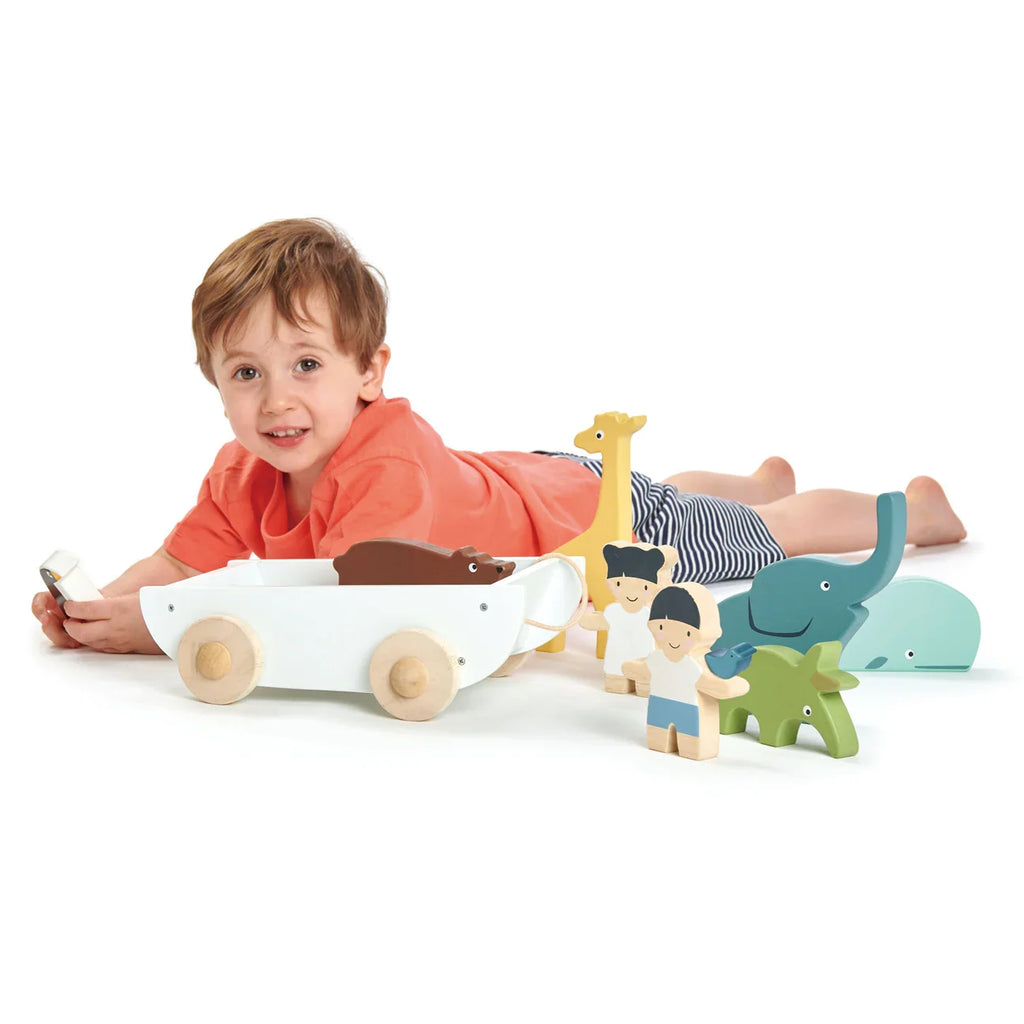 The Friend Ship Pull Toy