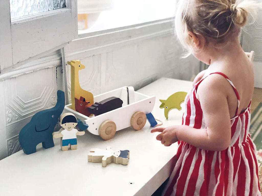 The Friend Ship Pull Toy