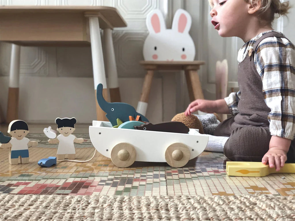 The Friend Ship Pull Toy