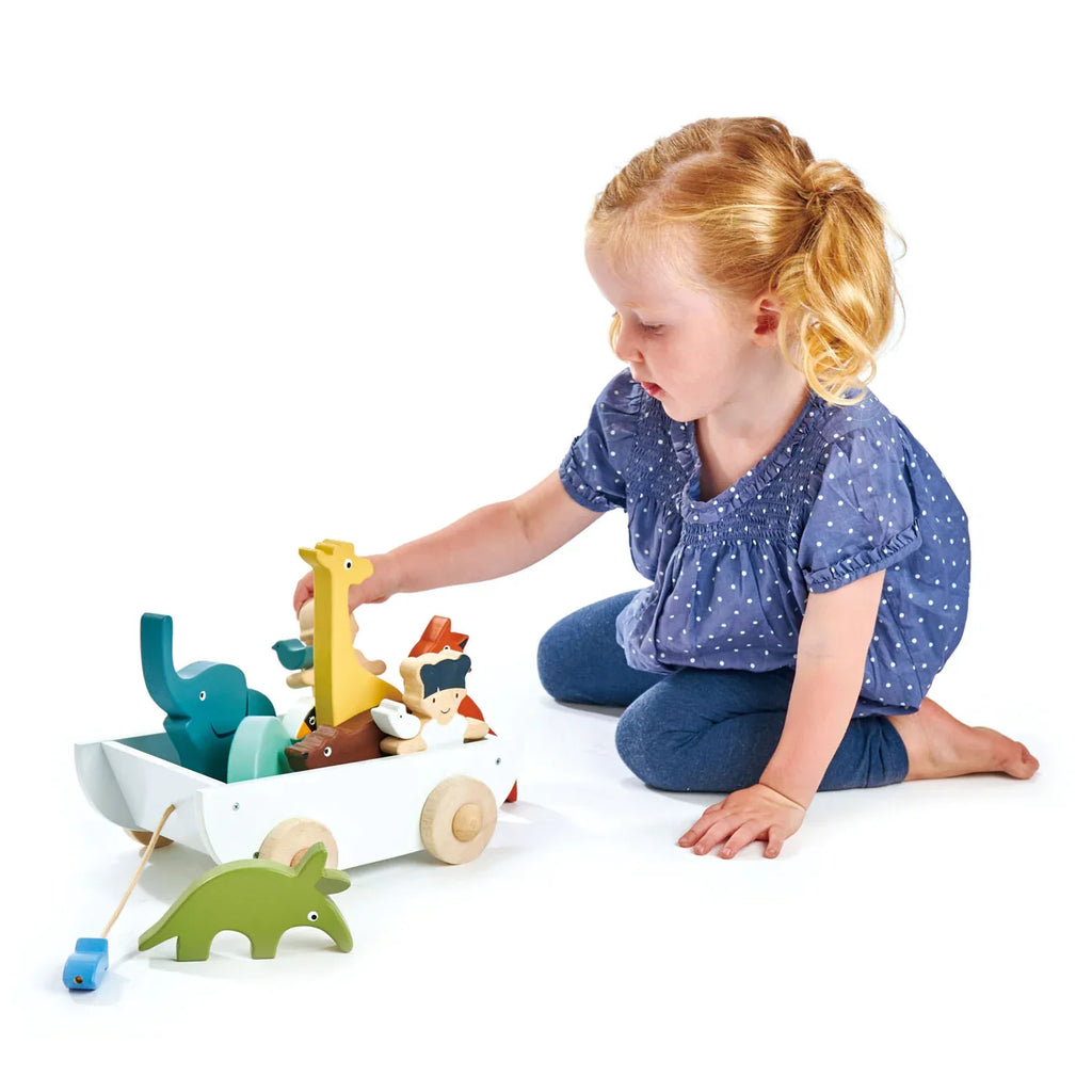 The Friend Ship Pull Toy