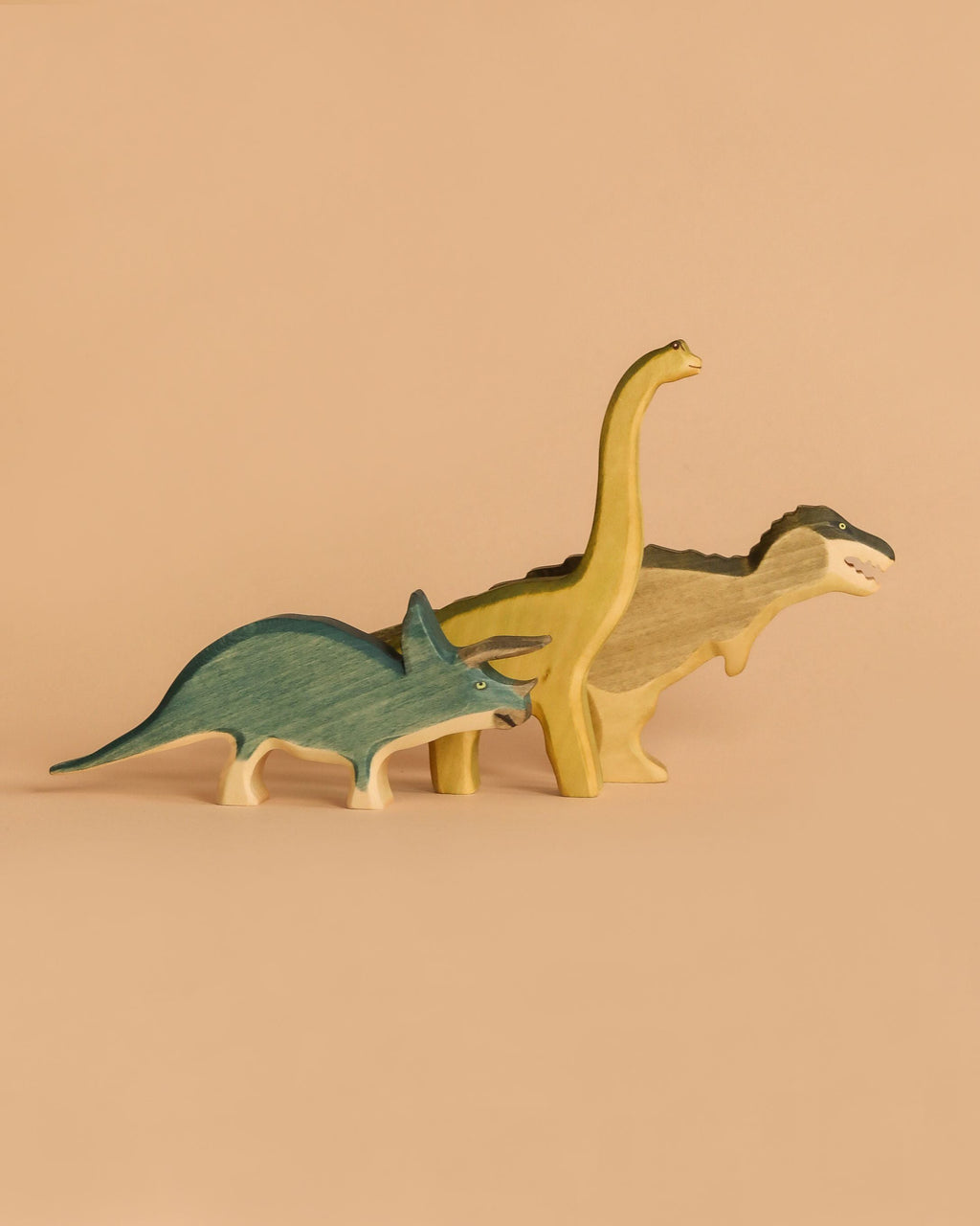 Handmade Holzwald Dinosaur Set