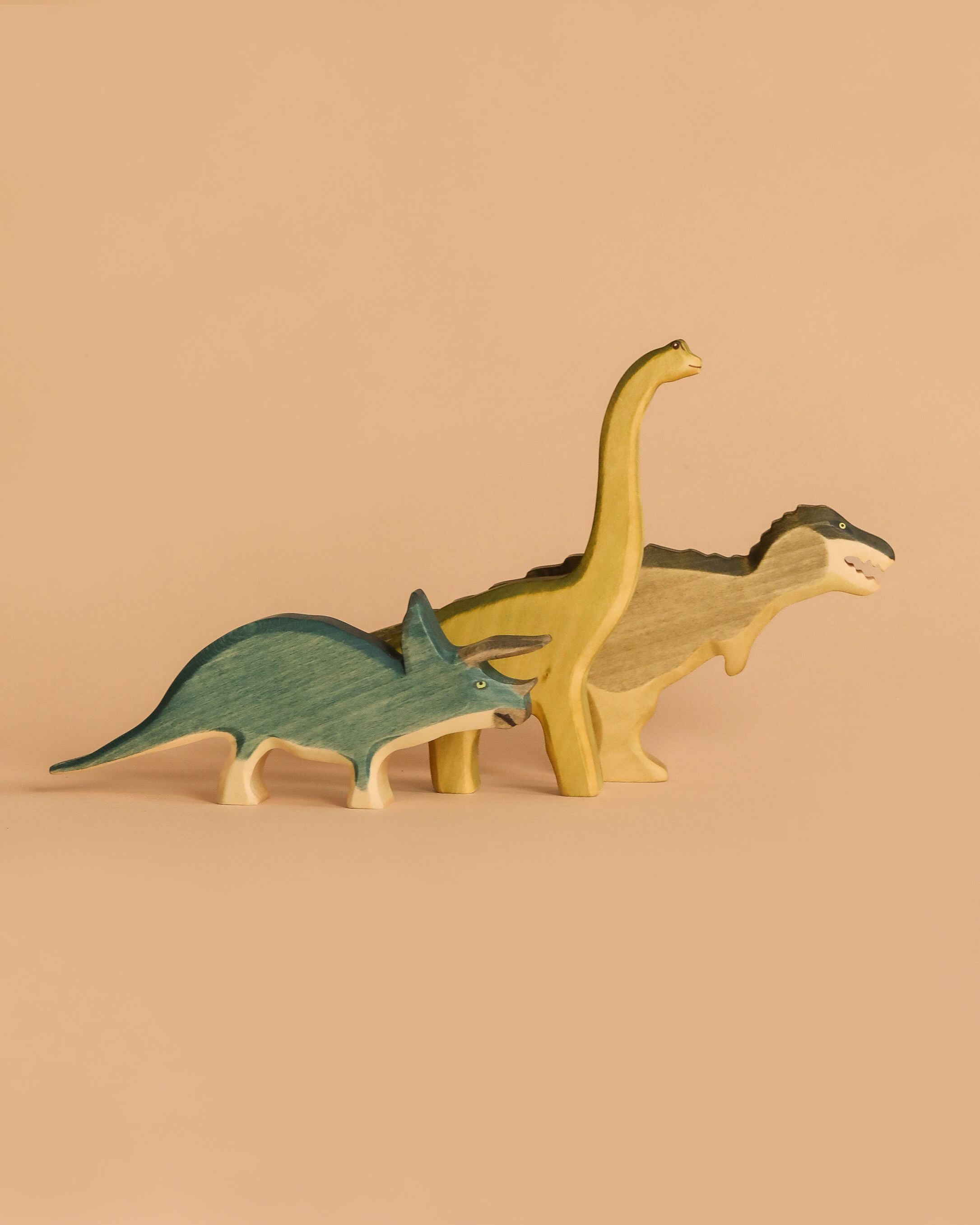 Handmade Holzwald Dinosaur Set