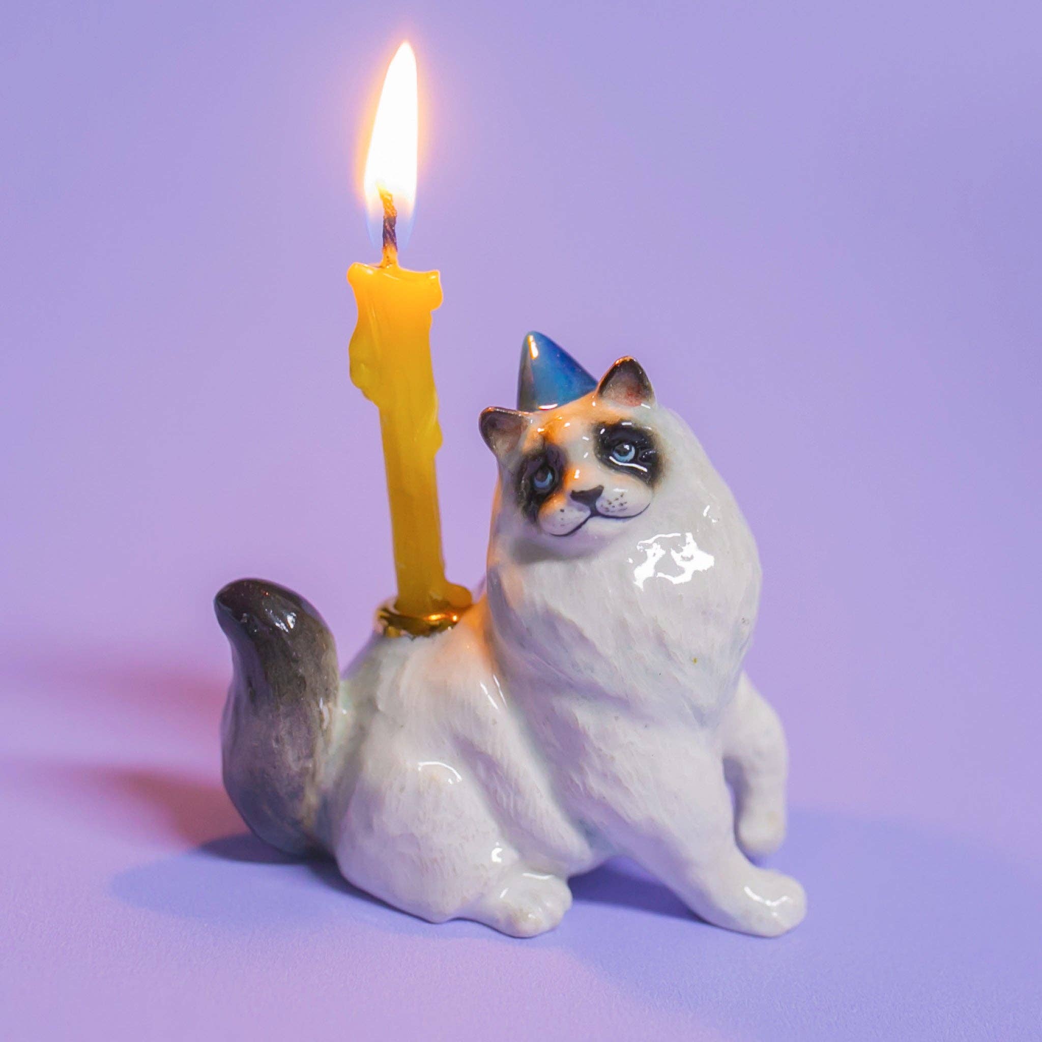 Ragdoll Cat Cake Topper - Final Sale
