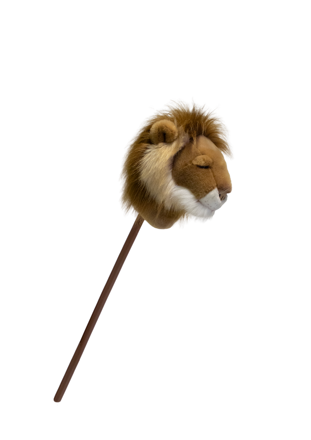 Pretend Play Ride-On Lion