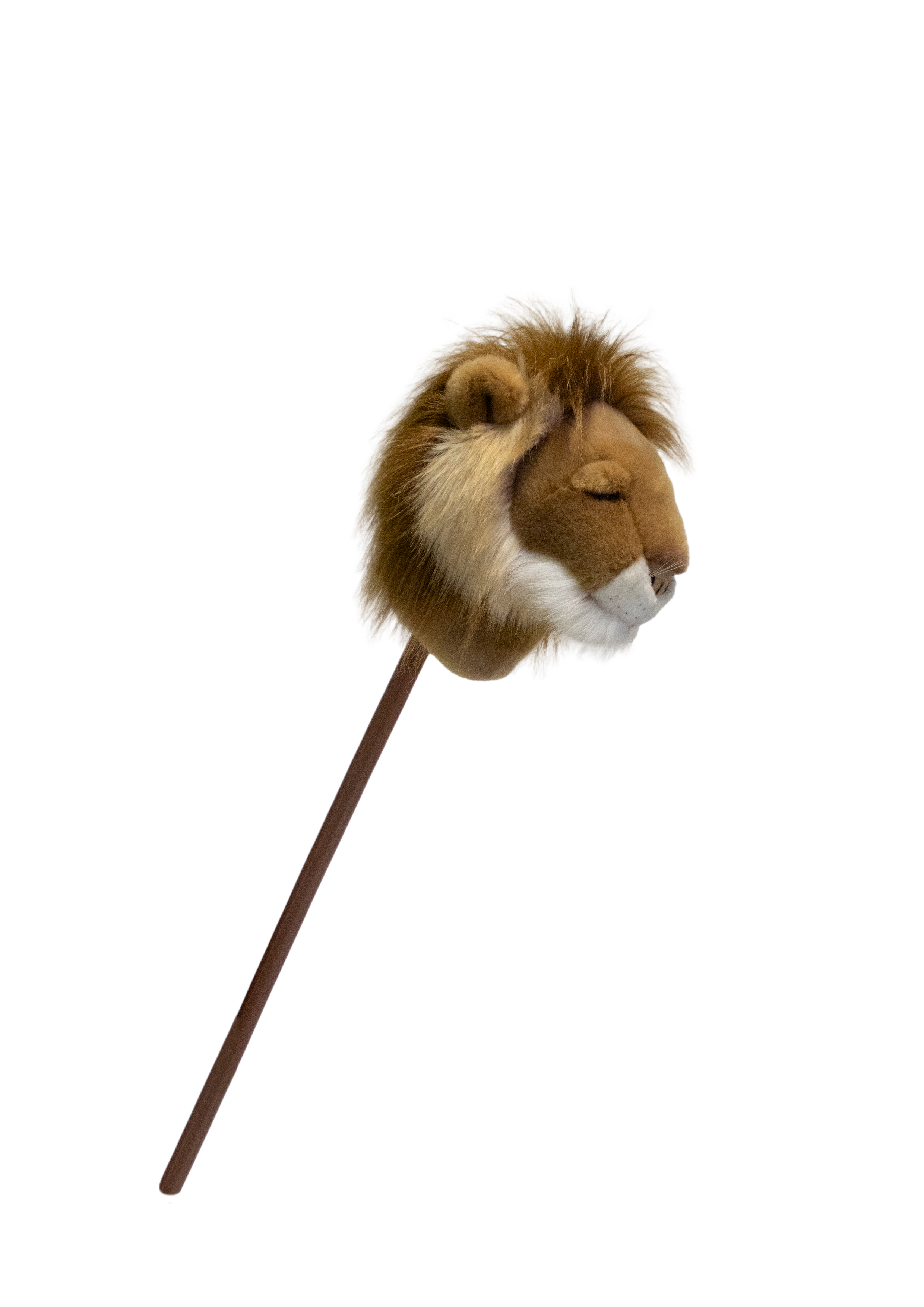 Pretend Play Ride-On Lion