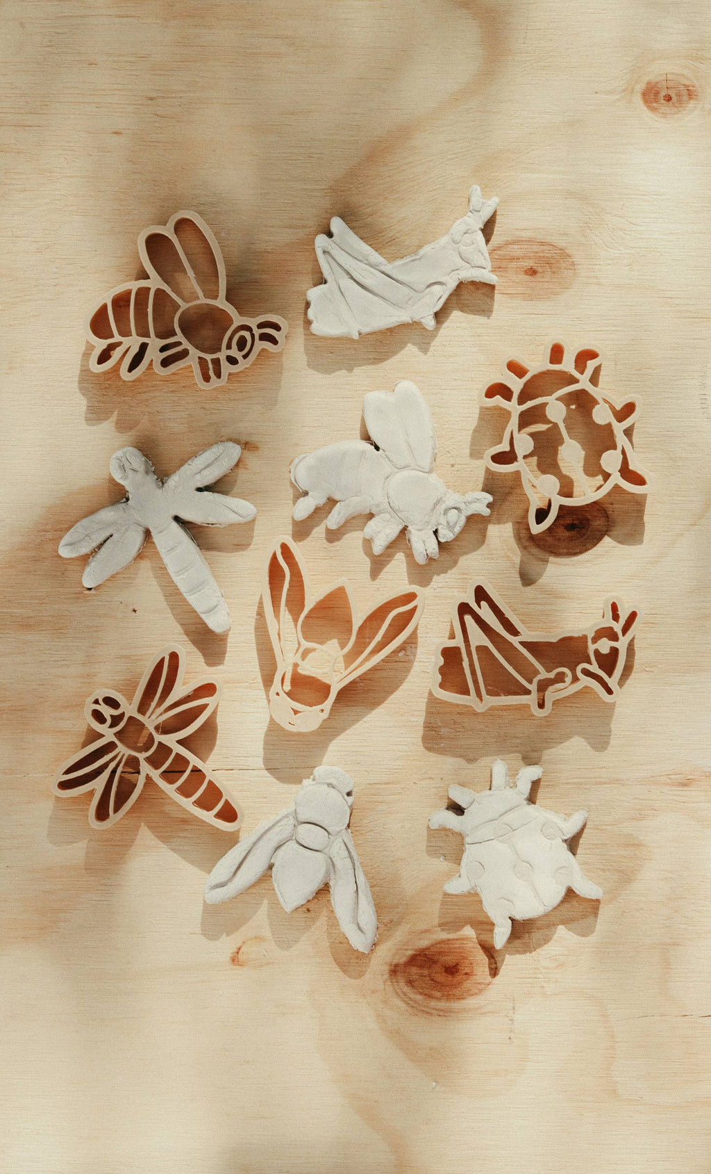 Insect Cutter Set - Eco Playdough Tool