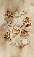 Insect Cutter Set - Eco Playdough Tool