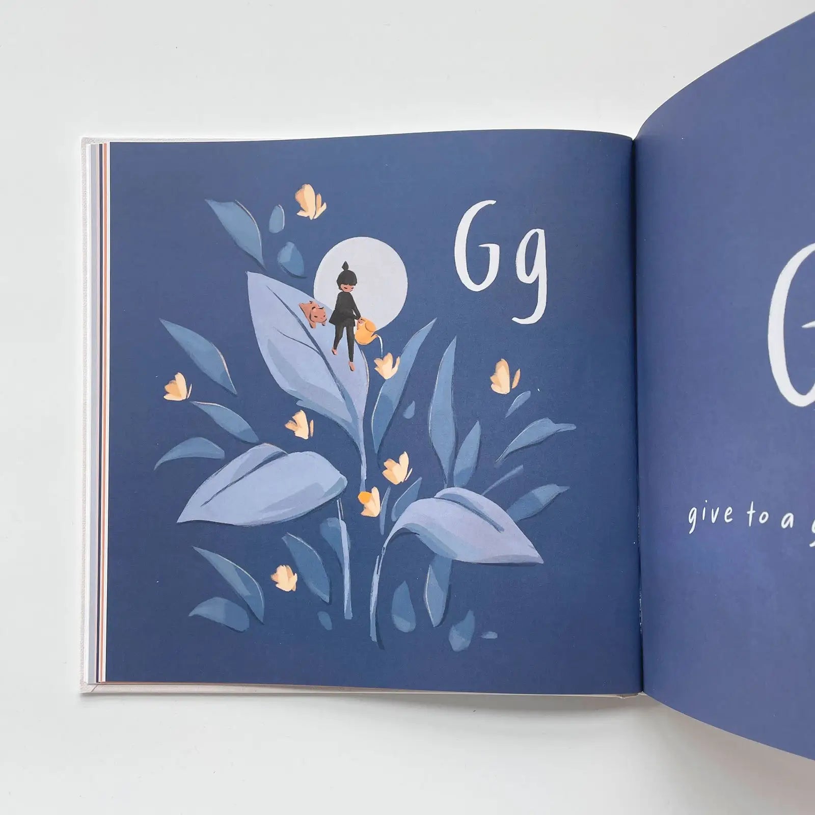 Let's Go Explore Book