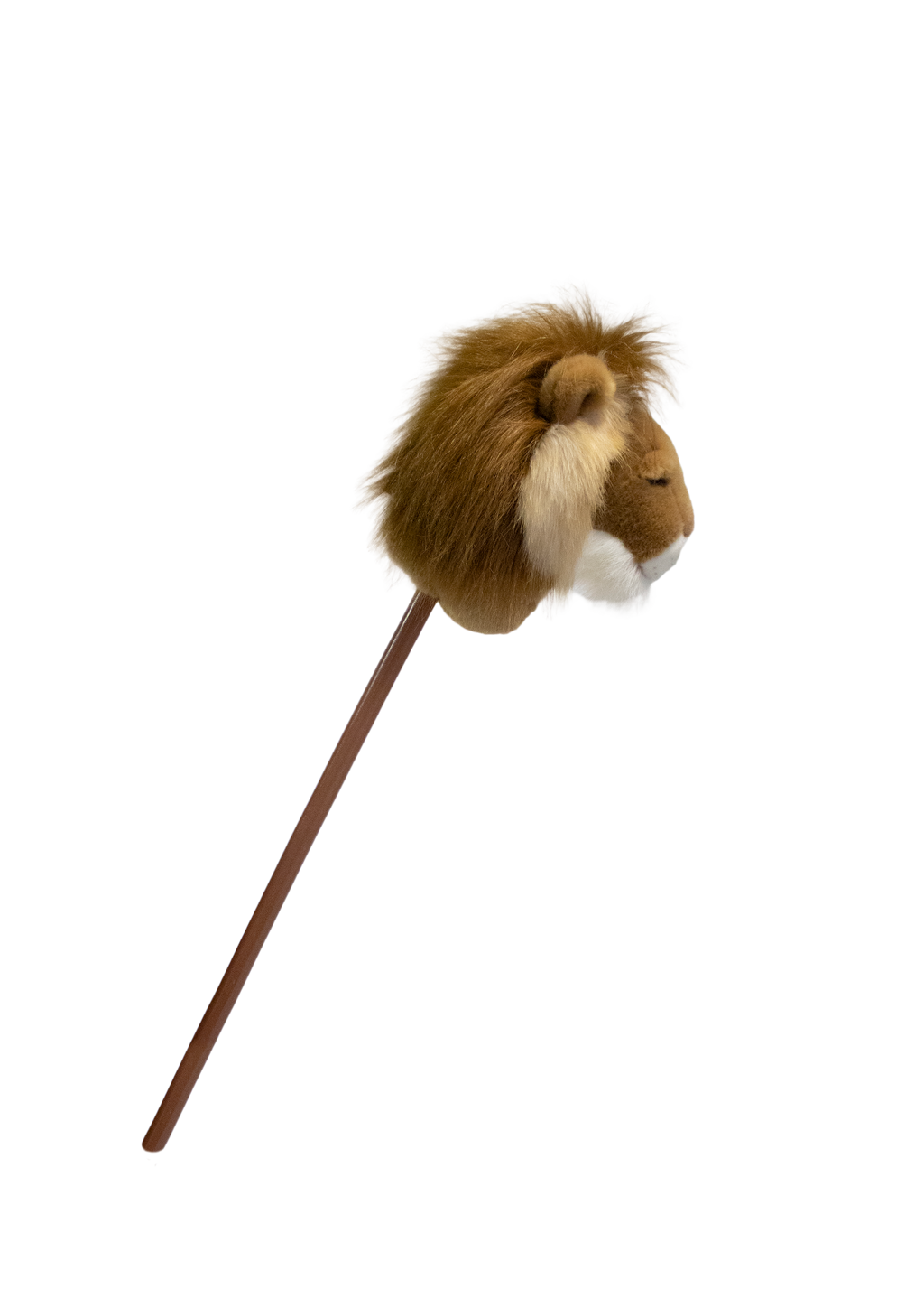 Pretend Play Ride-On Lion