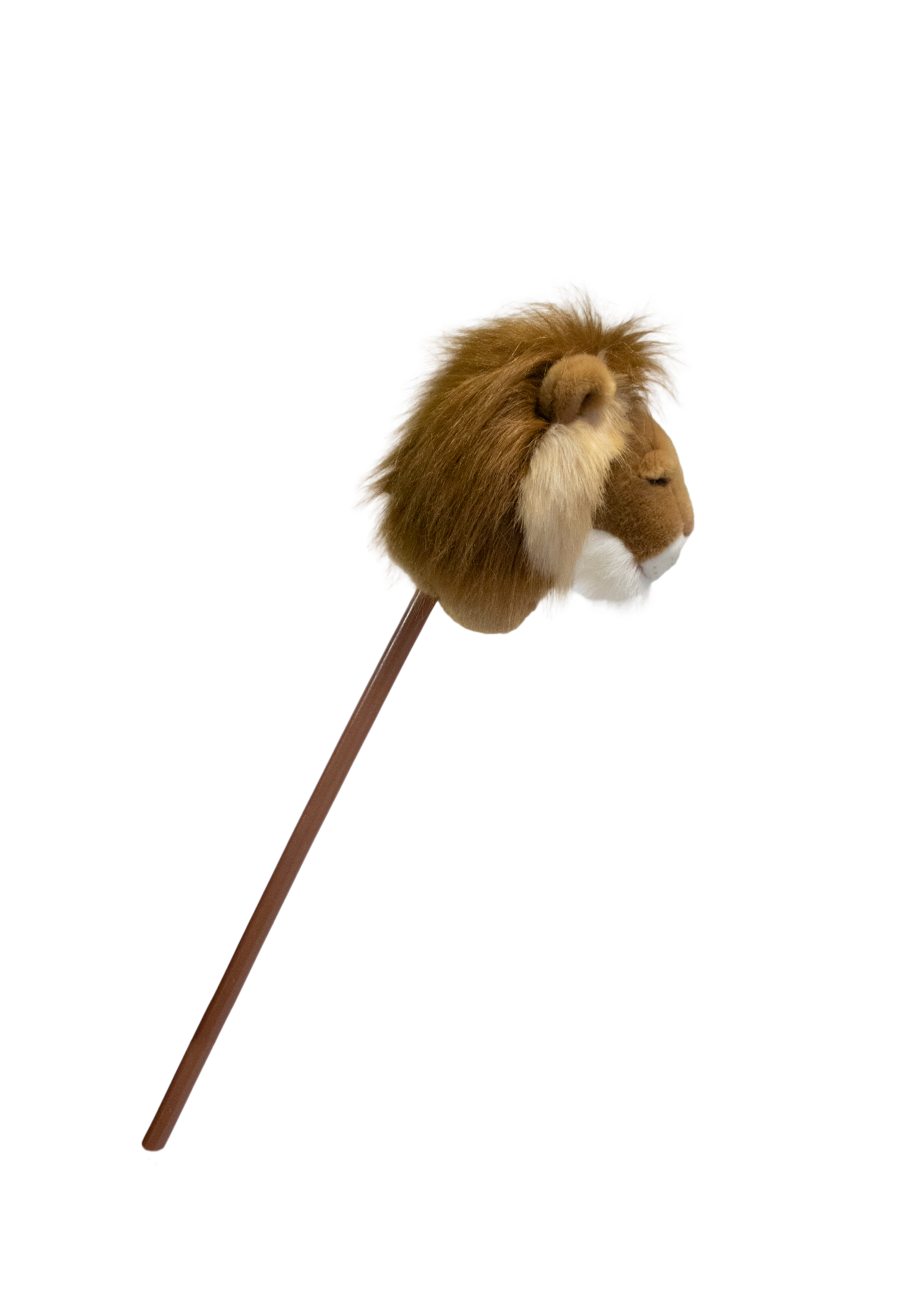 Pretend Play Ride-On Lion