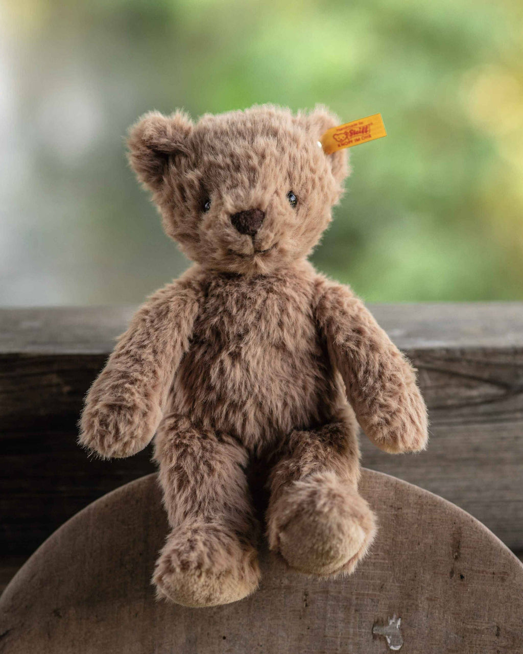 Steiff Thommy Teddy Bear, 8"
