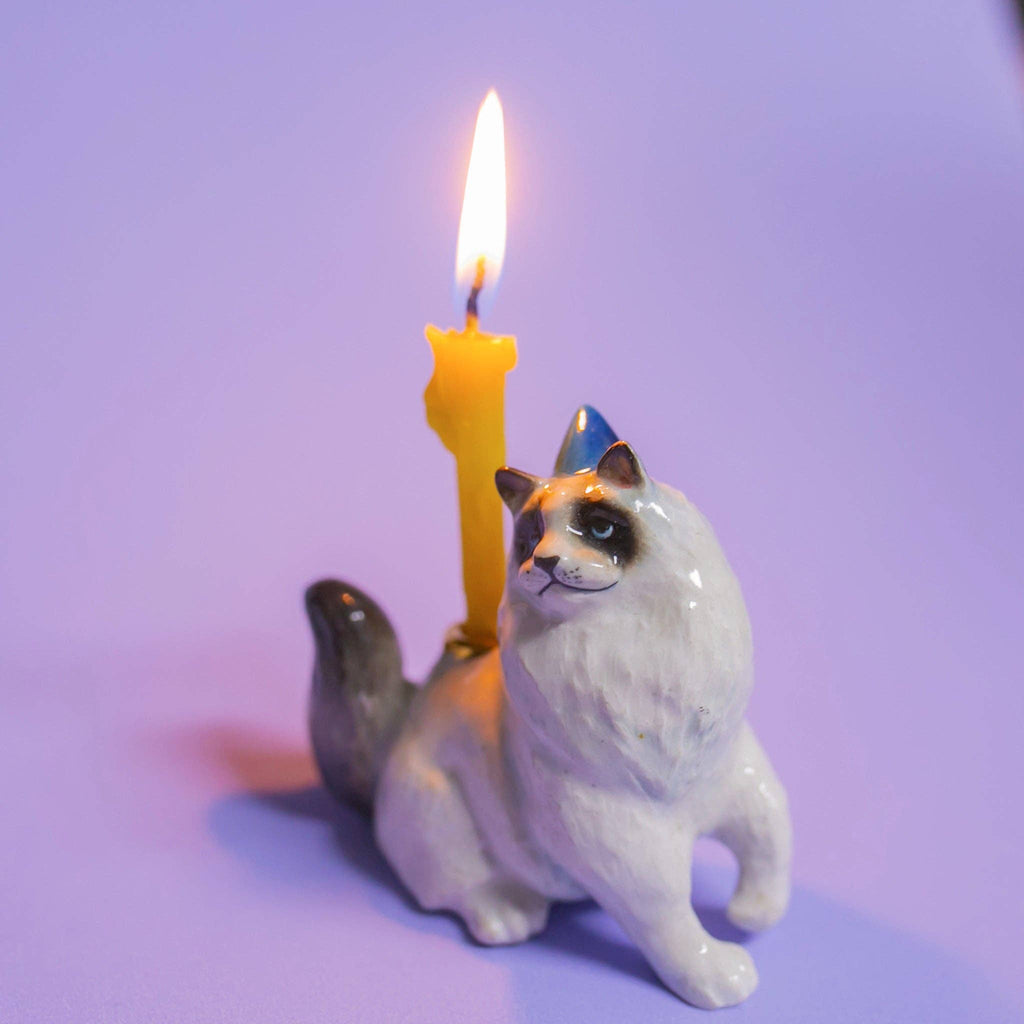 Ragdoll Cat Cake Topper - Final Sale