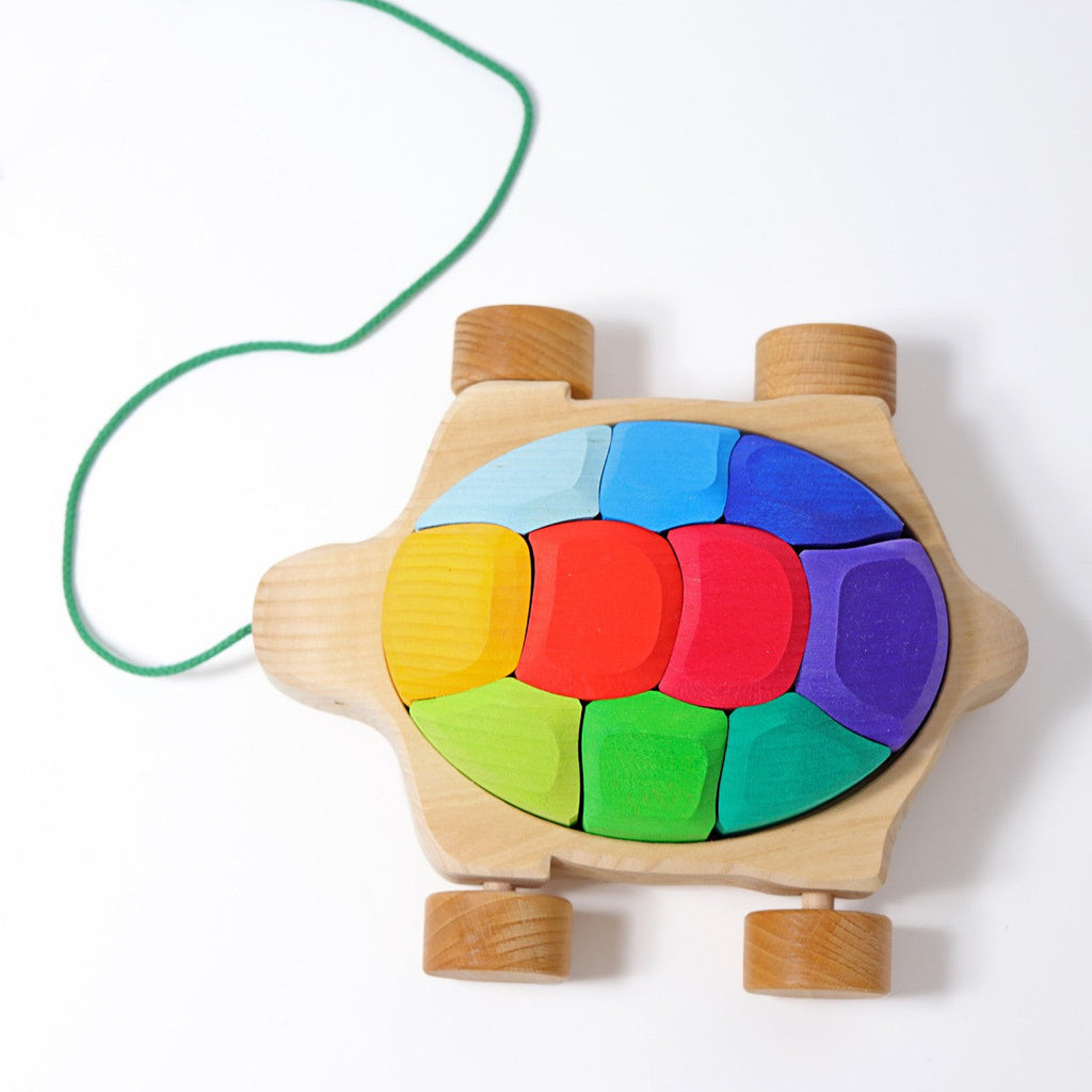 Grimm's Rainbow Turtle Pull-Toy and Building Blocks