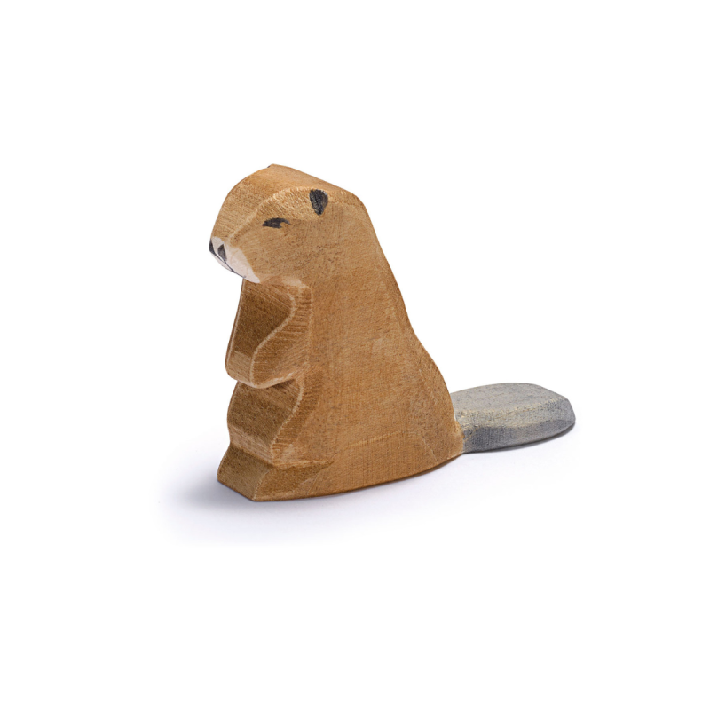 Ostheimer Beaver - Sitting