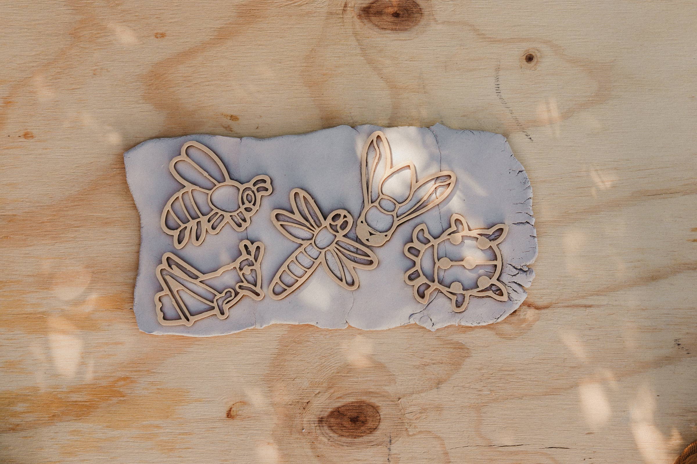 Insect Cutter Set - Eco Playdough Tool