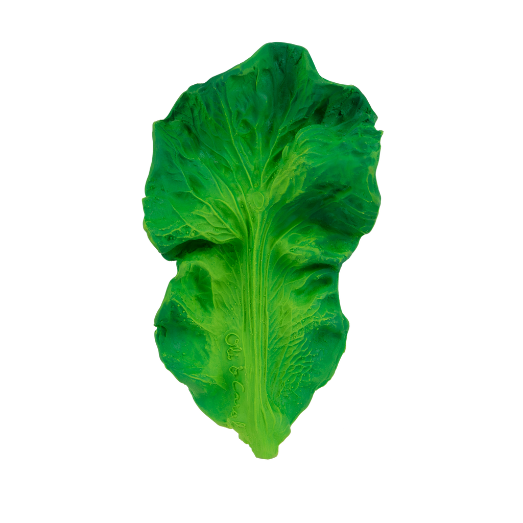 Kendall the Kale Teething Toy