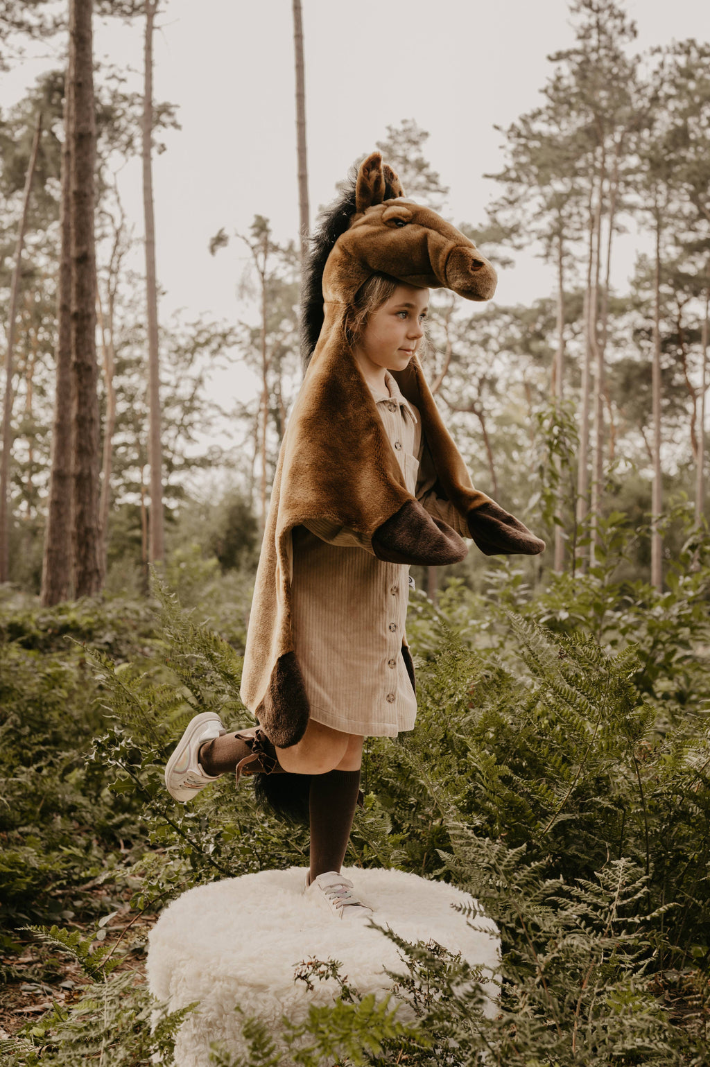 Costume - Brown Horse