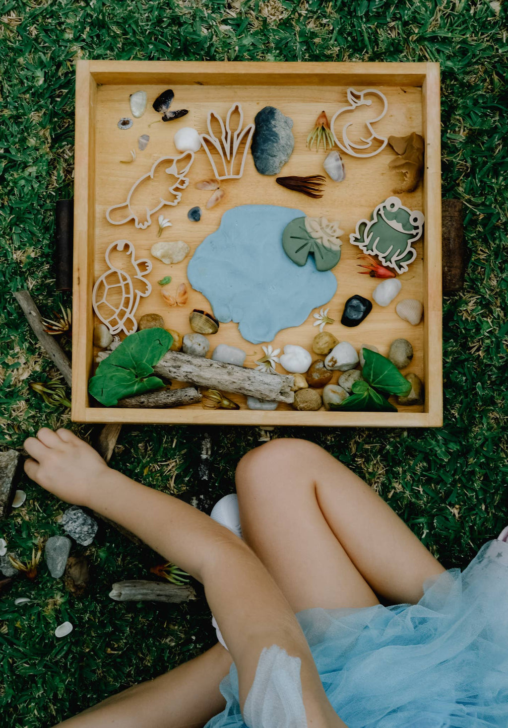Pond Life Cutter Set - Eco Playdough Tool
