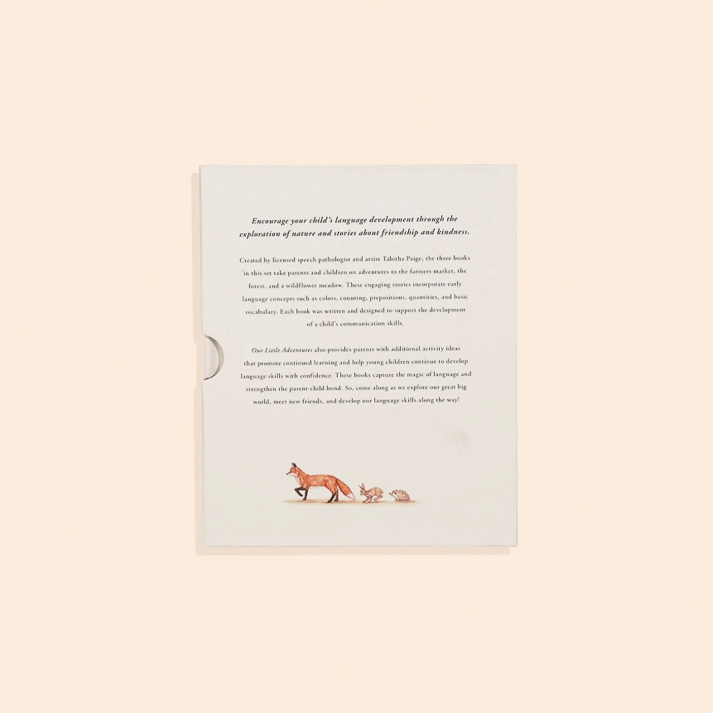Our Little Adventures Book Box Set