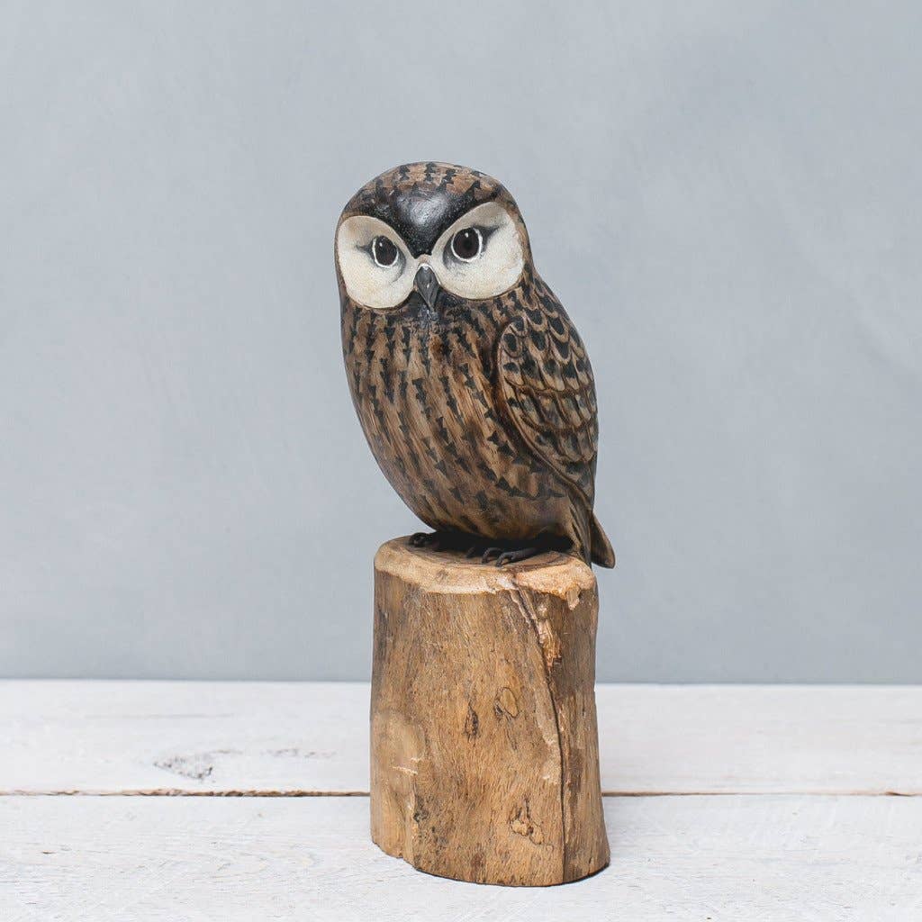 Hand Carved Saw Whet Owl - 10"H