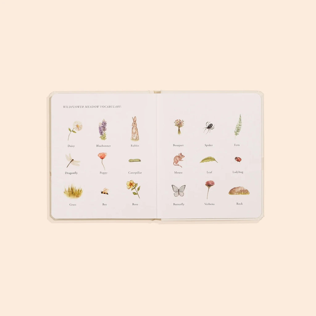 Our Little Adventures Book Box Set