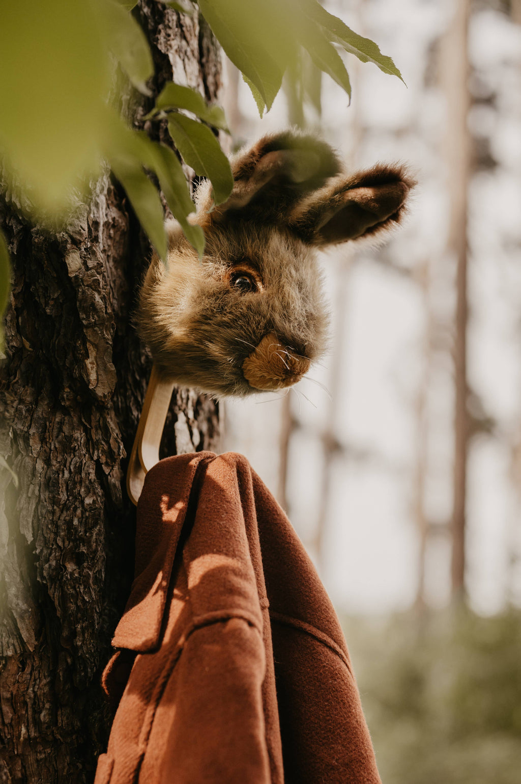 Coat Hanger - Brown Bunny
