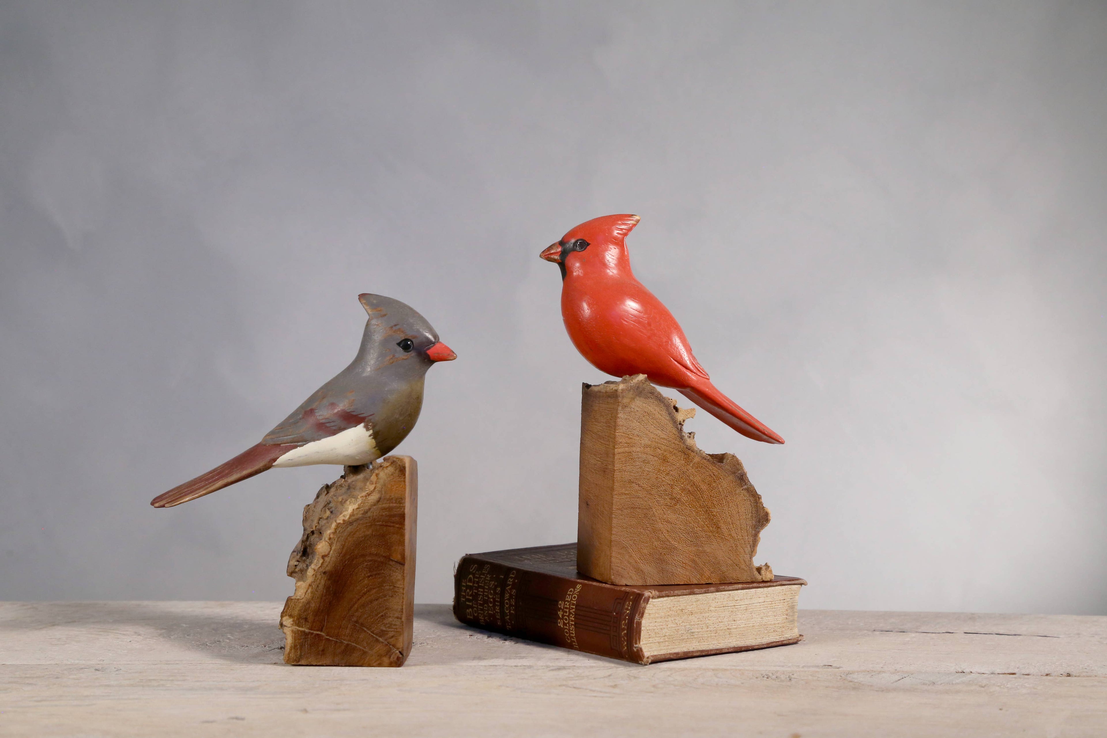 Hand Carved Ornament - Cardinal Bird- Female - 7"H