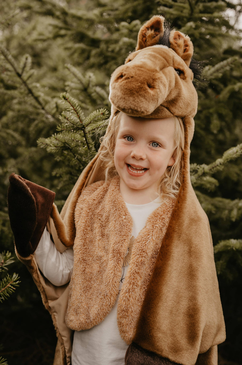 Costume - Brown Horse