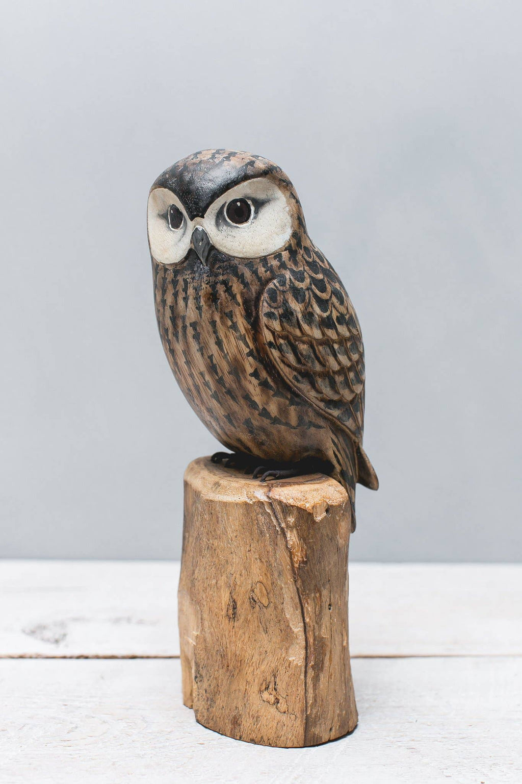Hand Carved Saw Whet Owl - 10"H