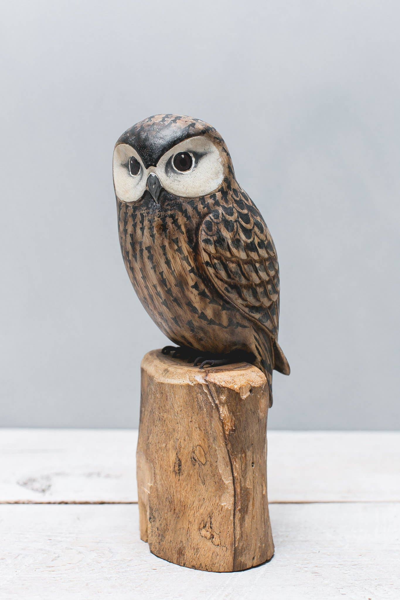 Hand Carved Saw Whet Owl - 10"H