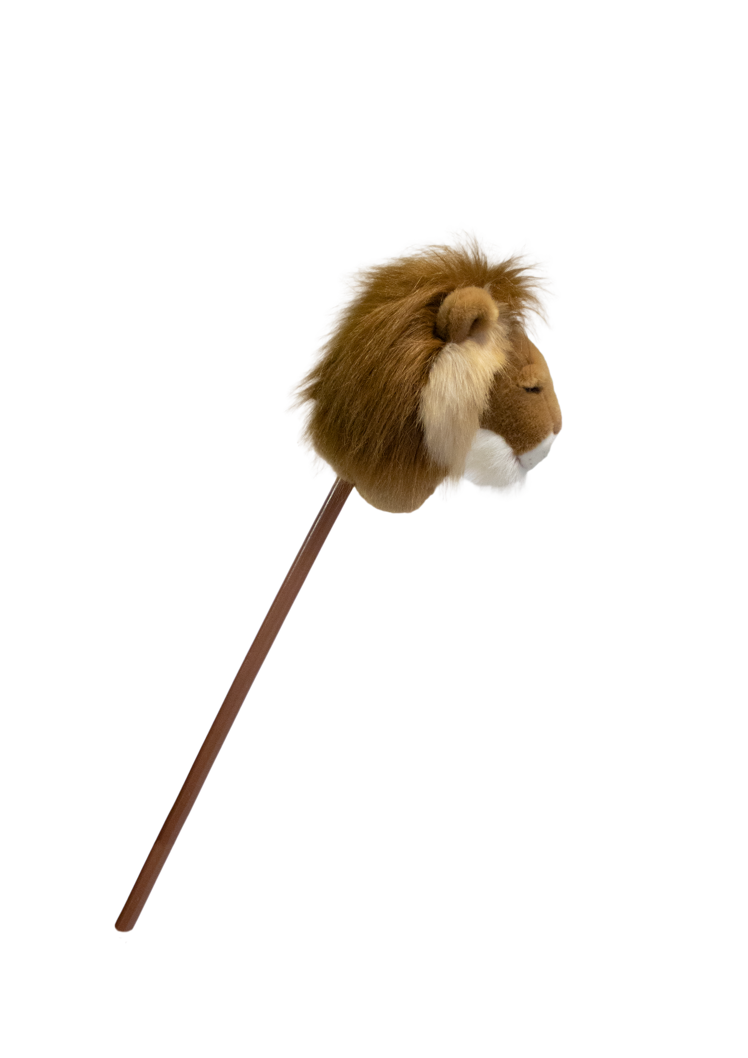 Pretend Play Ride-On Lion