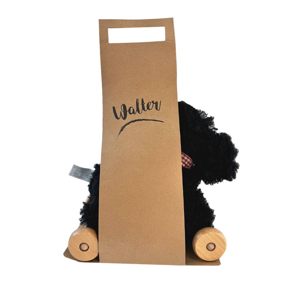 Pull-Along Walter