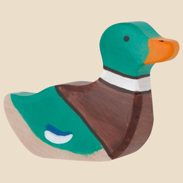 Holztiger Mallard Duck, Sitting