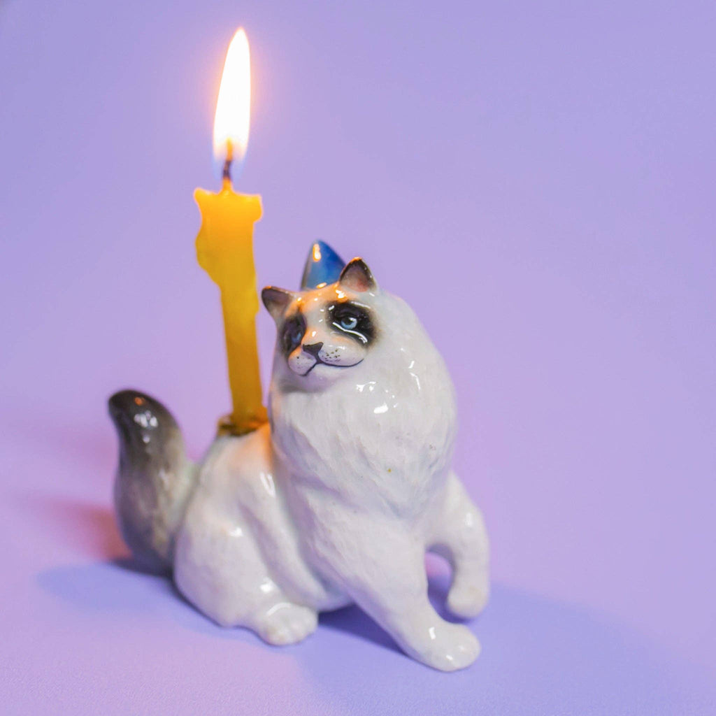 Ragdoll Cat Cake Topper - Final Sale