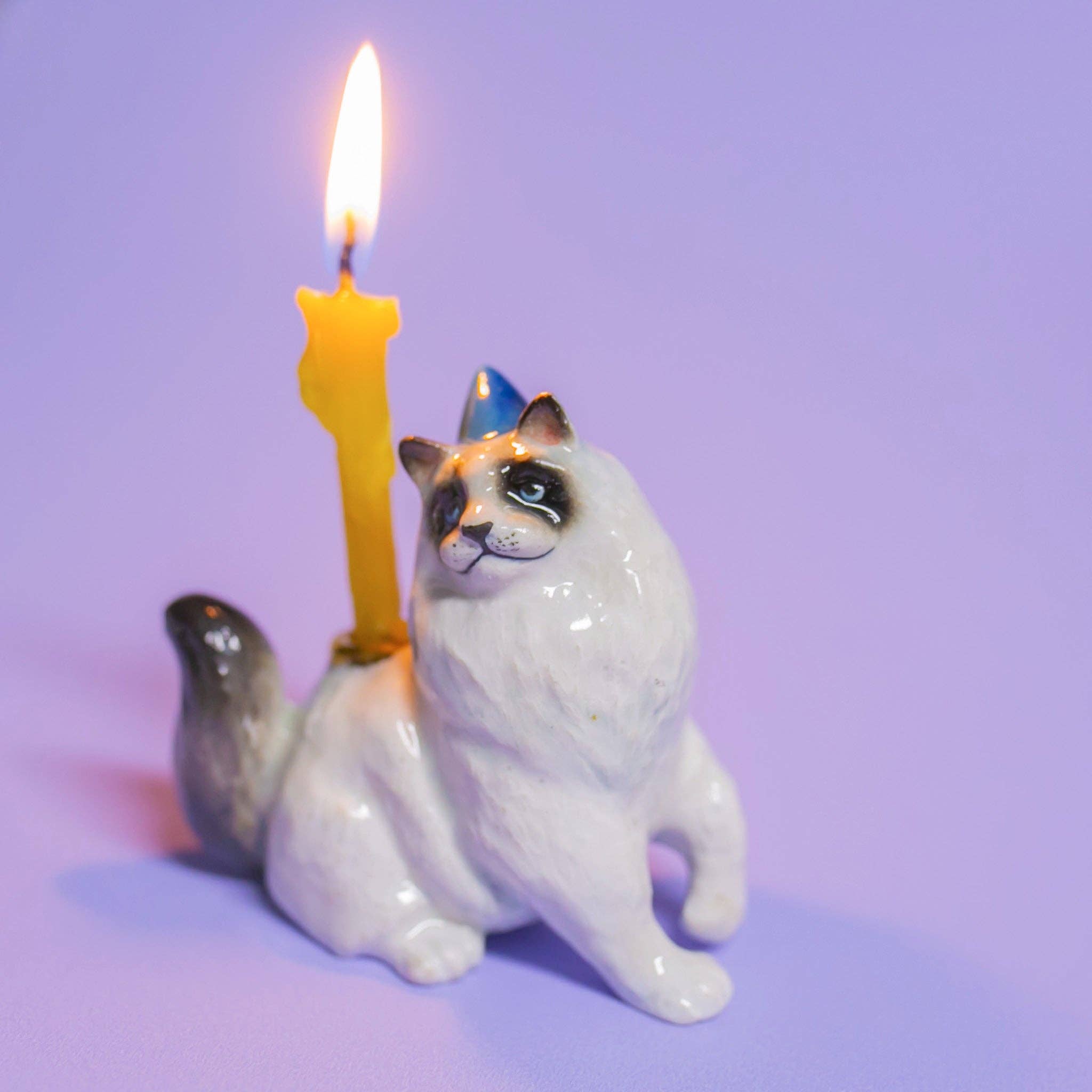 Ragdoll Cat Cake Topper - Final Sale