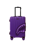 ALL SYSTEMS GO CARRY-ON LUGGAGE