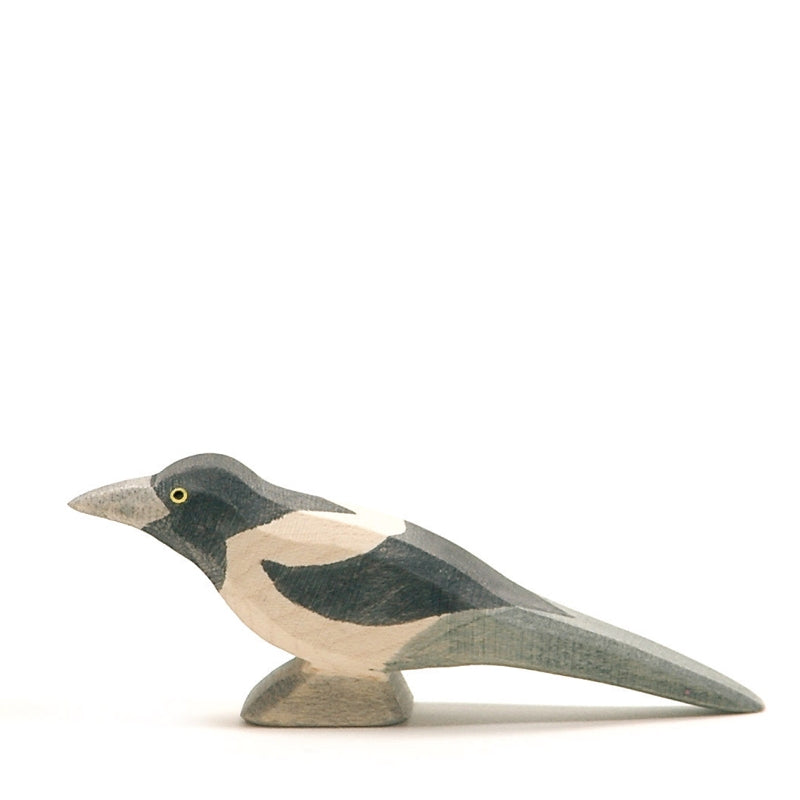 Ostheimer Bird - Magpie
