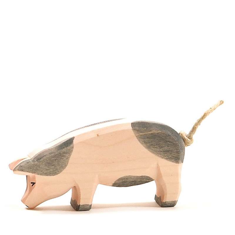 Ostheimer Spotted Pig - Head Low