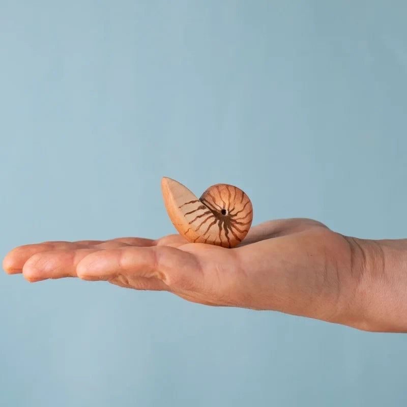 Bumbu Handmade Wooden Spiral Shell